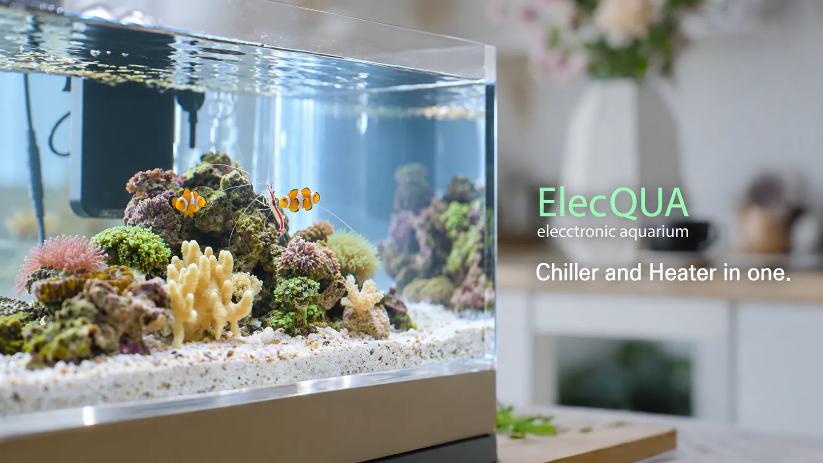 밝은 생활 공간에 설치된 해수 수조와 ElecQUA 영문 브랜드 문구